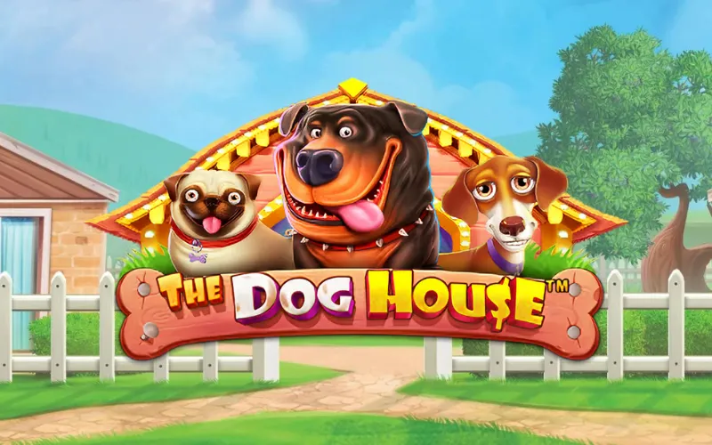 Juega a The Dog House y disfruta de divertidas funciones en LocoWin.